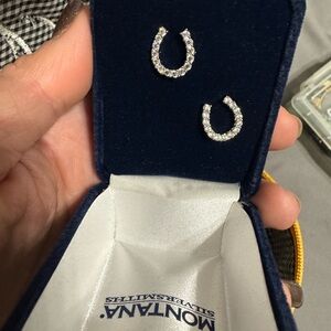 Montana Silversmiths Sparkling Silver Horseshoe Earrings